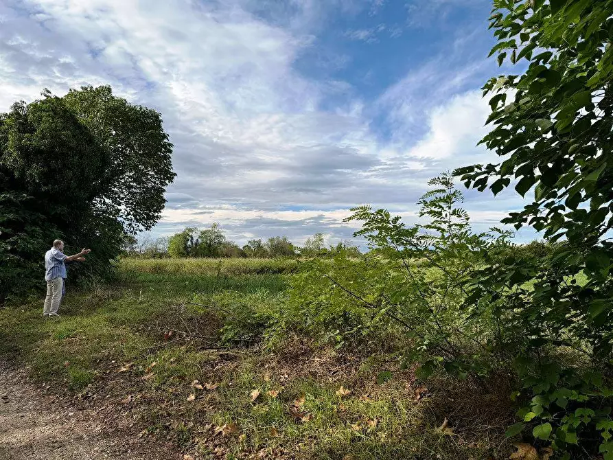 Immagine 4 di Terreno agricolo in vendita  a Pordenone