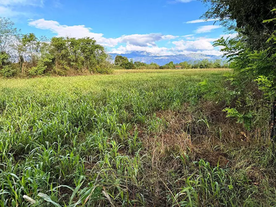 Immagine 5 di Terreno agricolo in vendita  a Pordenone