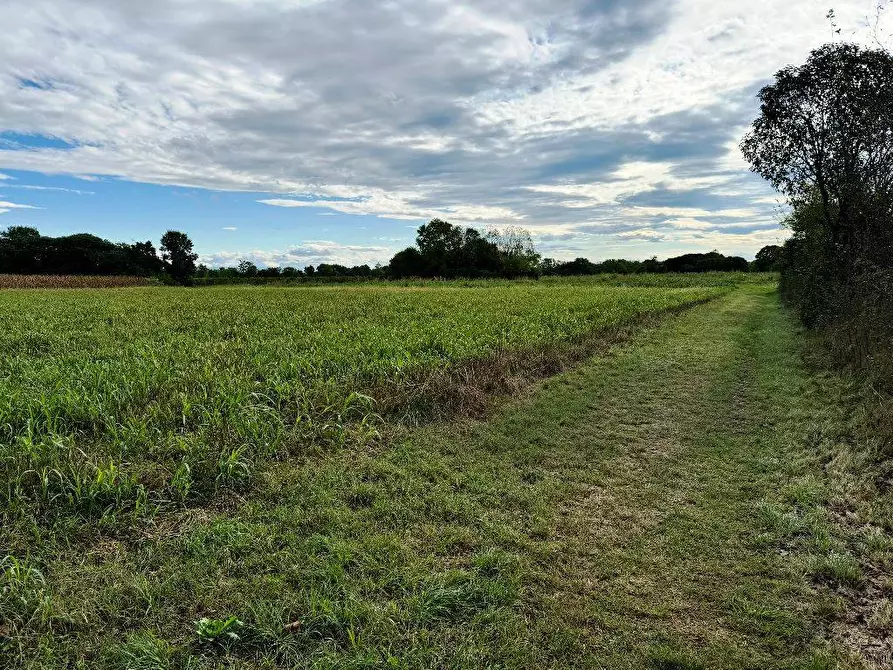 Immagine 2 di Terreno agricolo in vendita  a Pordenone