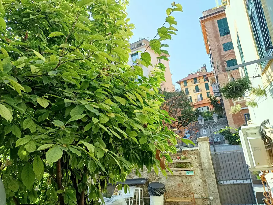 Immagine 29 di Appartamento in affitto  in Via Serafino Maria Rapallo a Arenzano