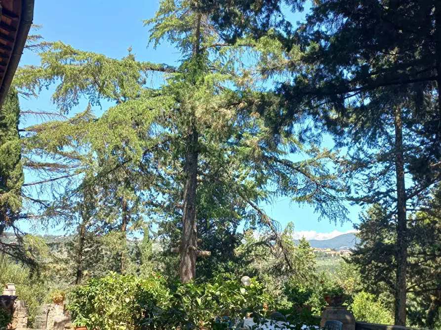 Immagine 3 di Appartamento in affitto  in via di Canonica a Sesto Fiorentino