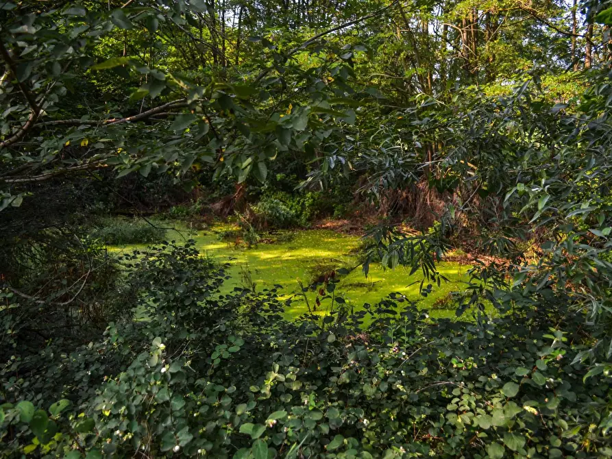 Immagine 28 di Rustico / casale in vendita  in Donizetti a Chieri