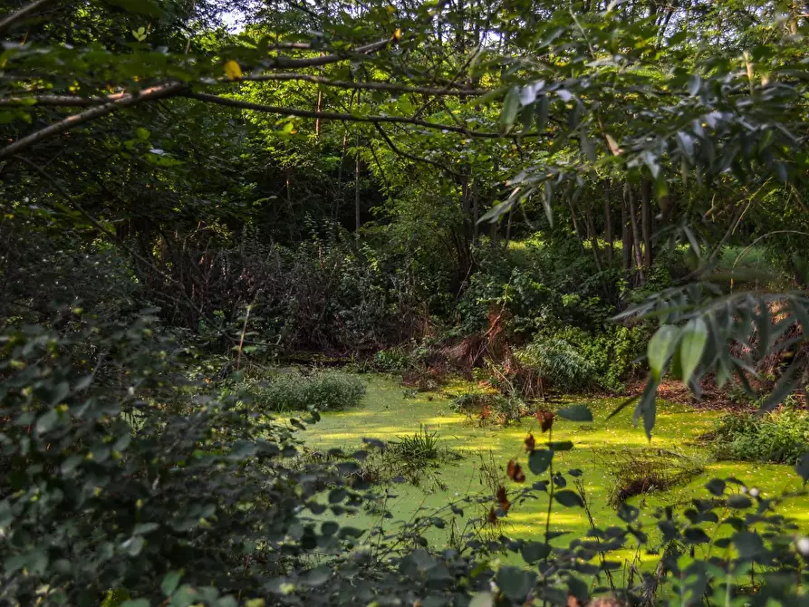 Immagine 29 di Rustico / casale in vendita  in Donizetti a Chieri