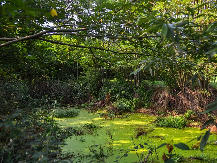 Immagine 30 di Rustico / casale in vendita  in Donizetti a Chieri