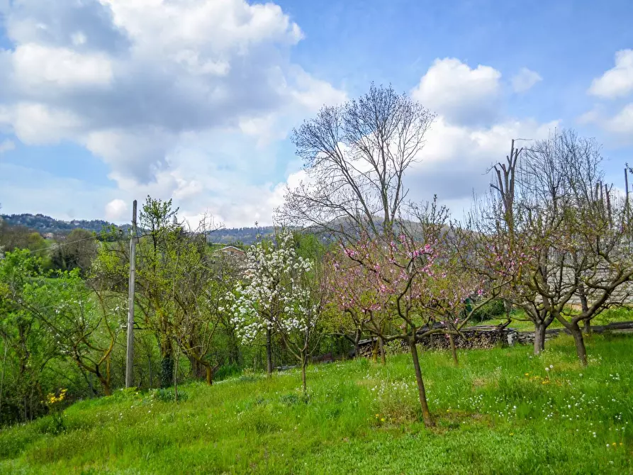 Immagine 19 di Villa in vendita  in VIA DEI TIGLI a Moncalieri