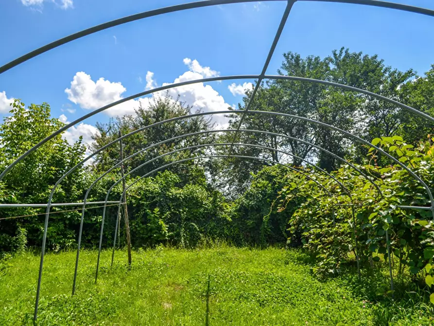 Immagine 7 di Rustico / casale in vendita  in Strada della Moglia a Chieri