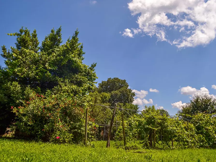 Immagine 9 di Rustico / casale in vendita  in Strada della Moglia a Chieri