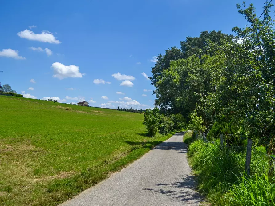 Immagine 11 di Rustico / casale in vendita  in Strada della Moglia a Chieri