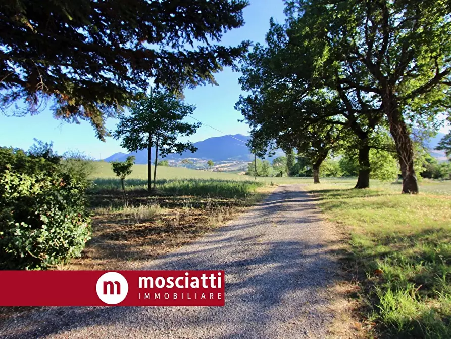 Immagine 15 di Casa indipendente in vendita  in Collepere a Matelica