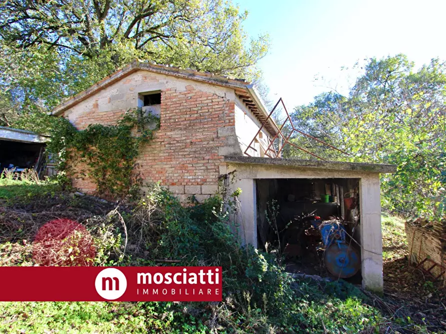 Immagine 4 di Rustico / casale in vendita  in Vocabolo Casoio a Matelica