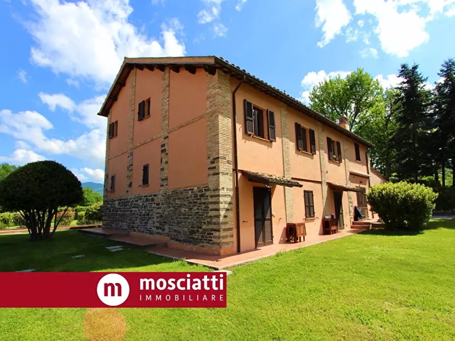 Immagine 3 di Rustico / casale in vendita  in Località Collina a Matelica