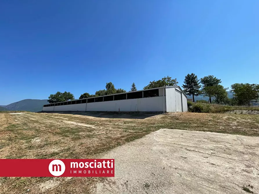 Immagine 1 di Capannone industriale in affitto  a Cerreto D'esi