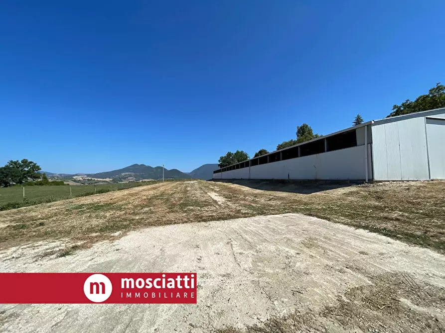 Immagine 2 di Capannone industriale in affitto  a Cerreto D'esi