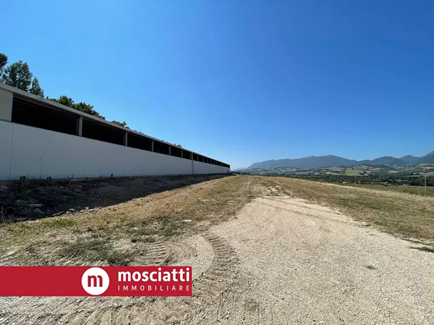 Immagine 3 di Capannone industriale in affitto  a Cerreto D'esi