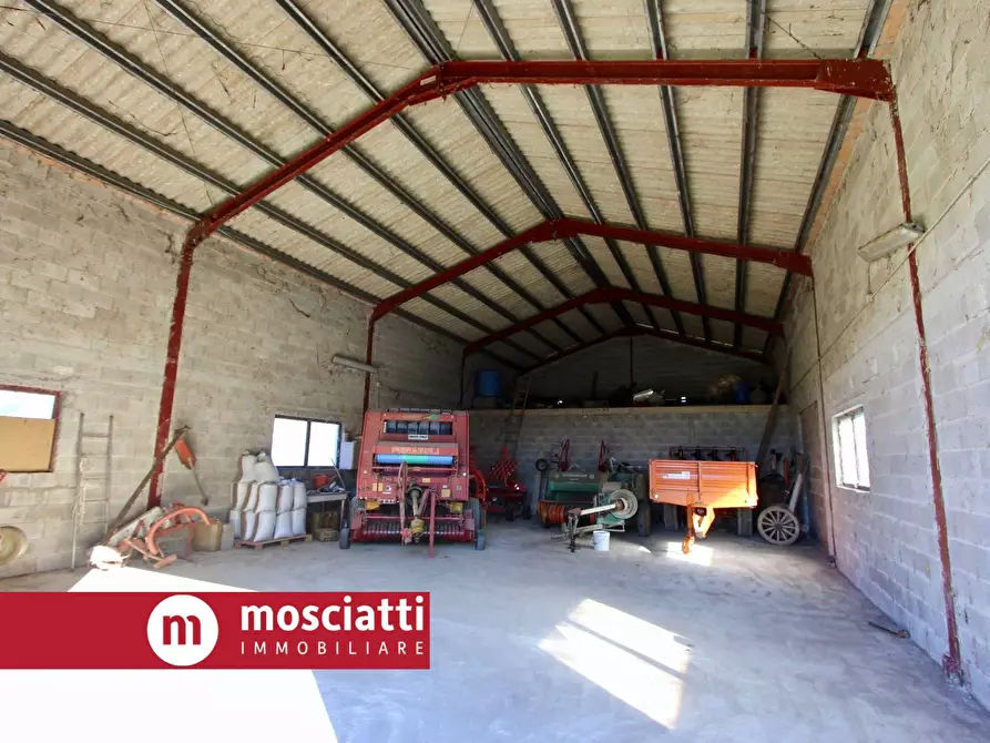 Immagine 4 di Terreno agricolo in vendita  in Località San Luca a Camerino