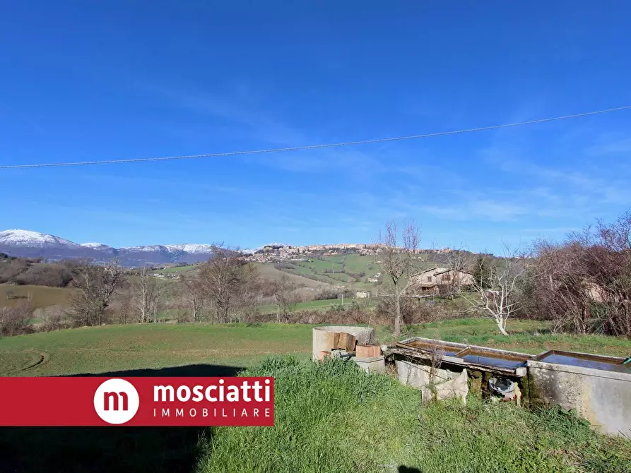 Immagine 5 di Terreno agricolo in vendita  in Località San Luca a Camerino