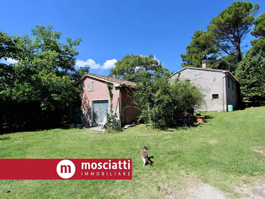 Immagine 22 di Villa in vendita  in Via Sainale a Matelica