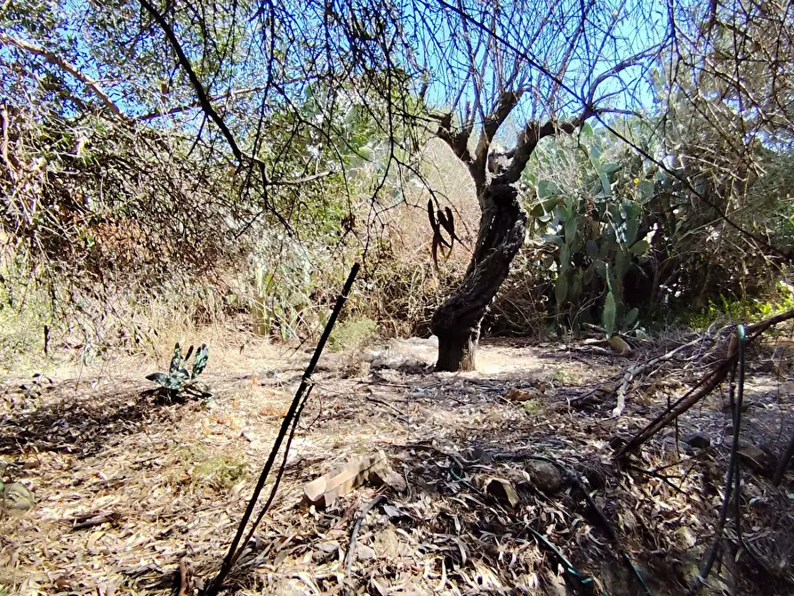 Immagine 7 di Casa indipendente in vendita  in Via San Vito a Nuraminis