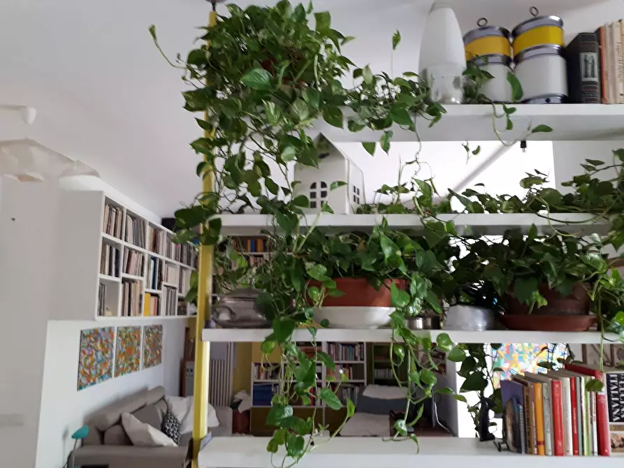 Immagine 3 di Appartamento in vendita  in Via Roma a Cagliari