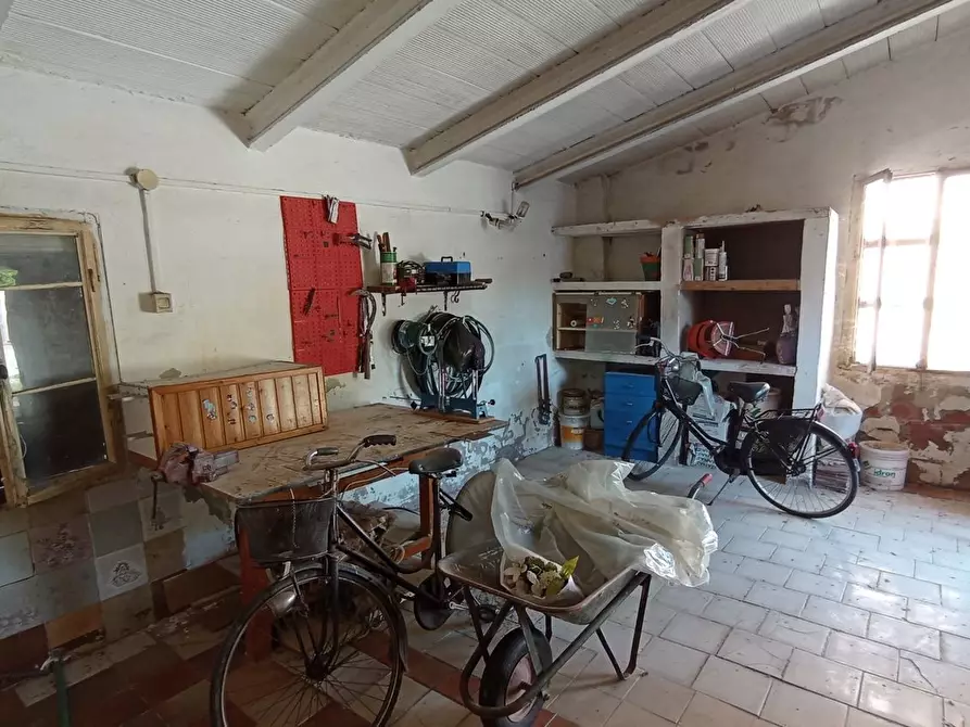 Immagine 21 di Casa bifamiliare in vendita  in Adriatico a Masi Torello