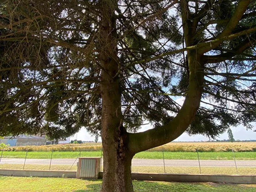 Immagine 10 di Casa bifamiliare in vendita  in via roosevelt a Voghiera