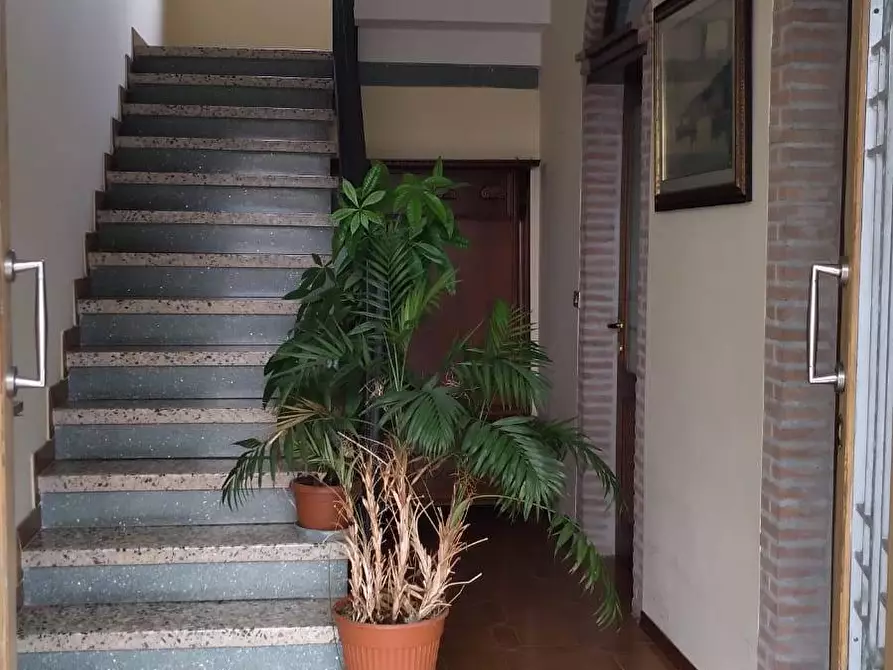 Immagine 14 di Casa bifamiliare in vendita  in strada provinciale 29 a Portomaggiore