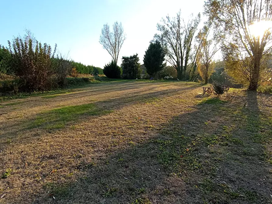 Immagine 12 di Casa bifamiliare in vendita  in strada provinciale 29 a Portomaggiore