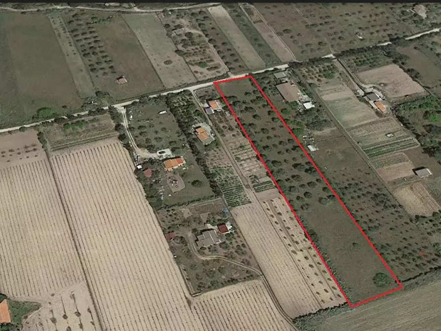 Immagine 1 di Terreno agricolo in vendita  in Località Pien di Luna a Sorso