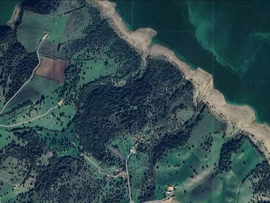 Immagine 1 di Terreno agricolo in vendita  in Località Pedru Pianu a Tula