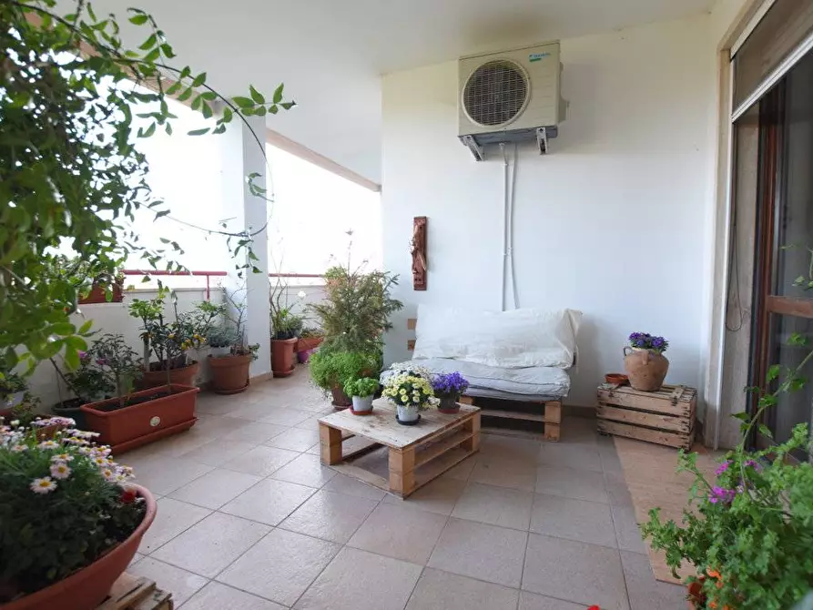 Immagine 1 di Appartamento in vendita  in Via Prunizzedda a Sassari