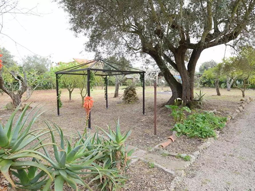 Immagine 24 di Villa in vendita  in S.V. Monte Oro 3° trav. a Sassari