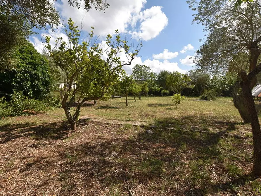 Immagine 27 di Villa in vendita  in S.V. Monte Oro 3° trav. a Sassari