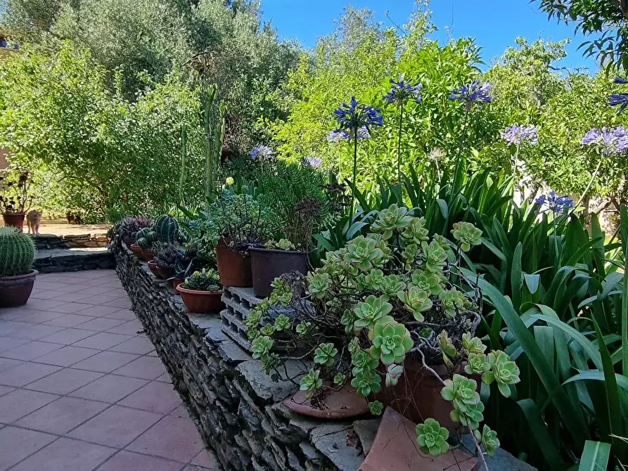 Immagine 29 di Villa in vendita  in Strada vicinale montalè a Sassari