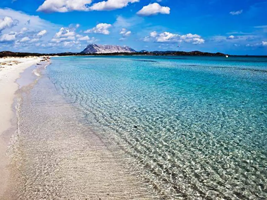 Immagine 21 di Casa indipendente in vendita  in Corso Vittorio Emanuele a Sorso