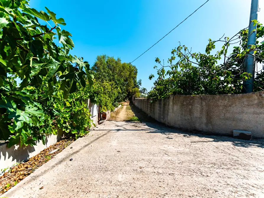Immagine 25 di Casa indipendente in vendita  in Località lu Parunaggiu a Sorso