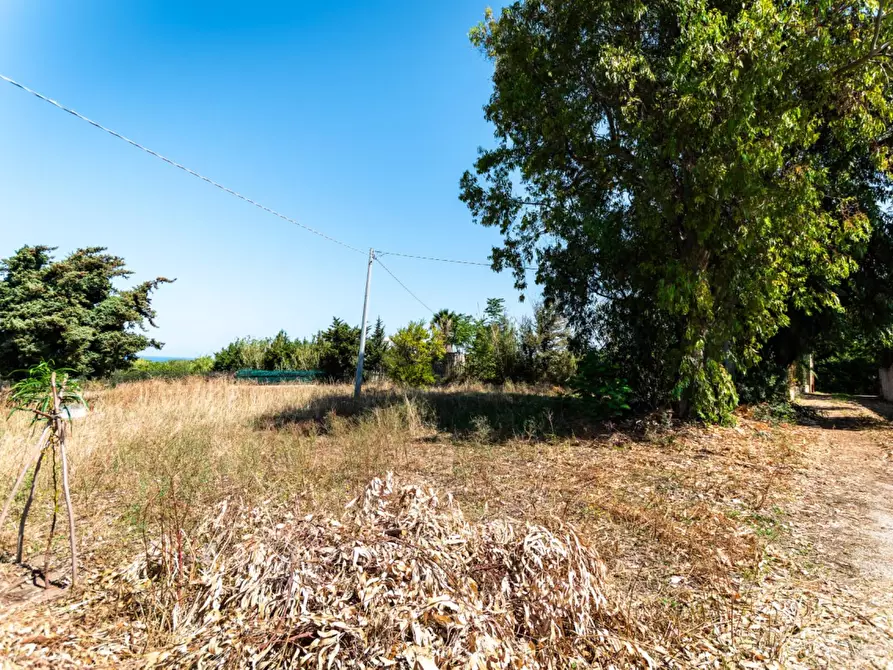 Immagine 27 di Casa indipendente in vendita  in Località lu Parunaggiu a Sorso