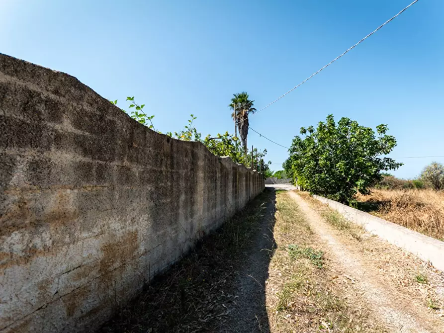 Immagine 28 di Casa indipendente in vendita  in Località lu Parunaggiu a Sorso
