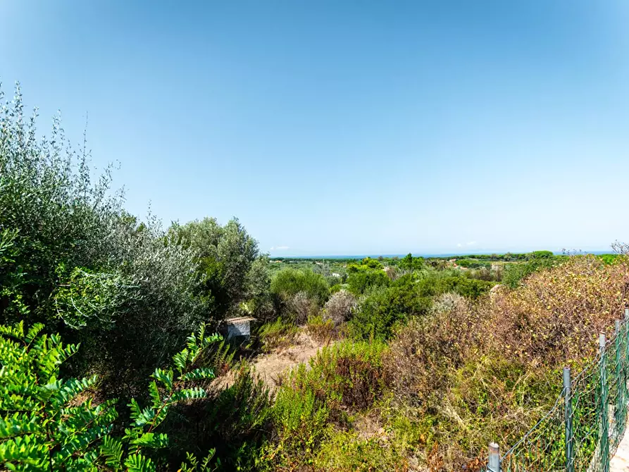 Immagine 30 di Casa indipendente in vendita  in Località lu Parunaggiu a Sorso