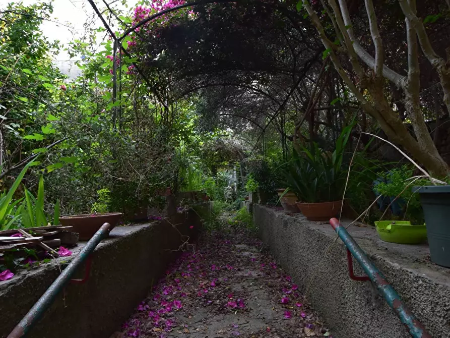 Immagine 20 di Appartamento in vendita  in via porcellana a Sassari