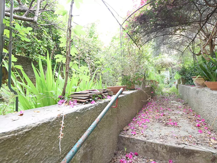 Immagine 21 di Appartamento in vendita  in via porcellana a Sassari