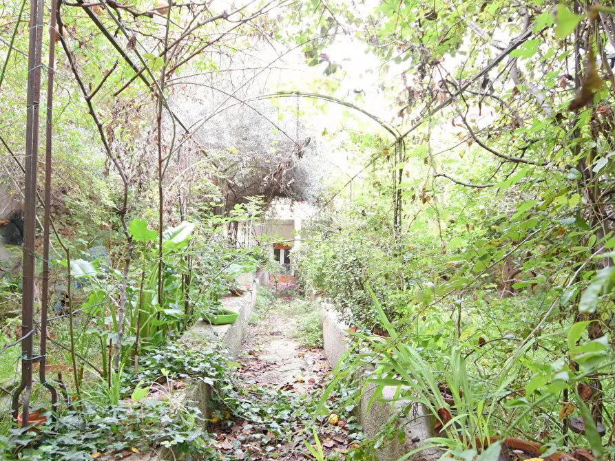 Immagine 23 di Appartamento in vendita  in via porcellana a Sassari