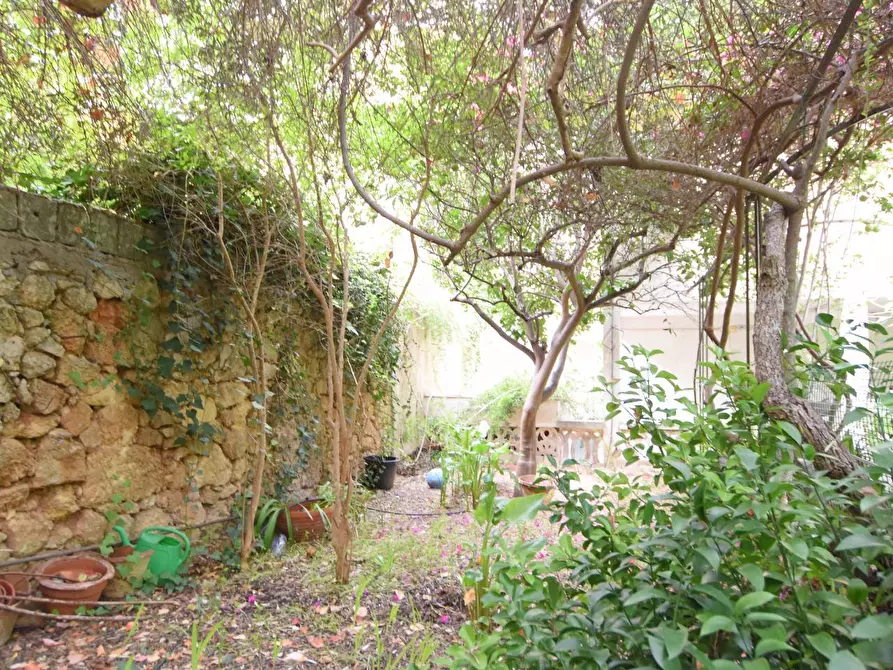 Immagine 24 di Appartamento in vendita  in via porcellana a Sassari