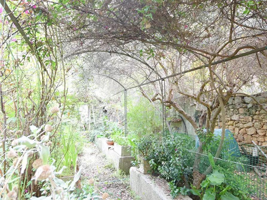 Immagine 26 di Appartamento in vendita  in via porcellana a Sassari