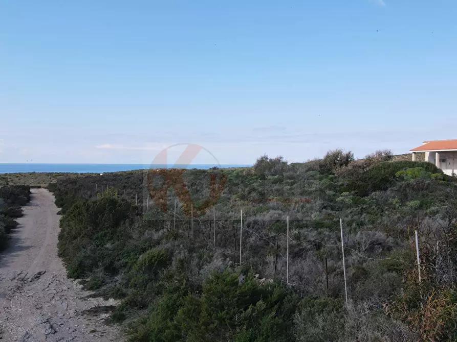 Immagine 9 di Casa indipendente in vendita  in località pedru nieddu a Stintino