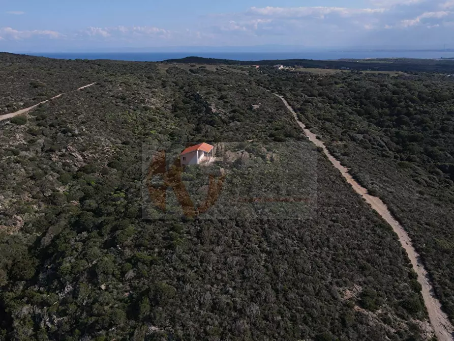 Immagine 10 di Casa indipendente in vendita  in località pedru nieddu a Stintino