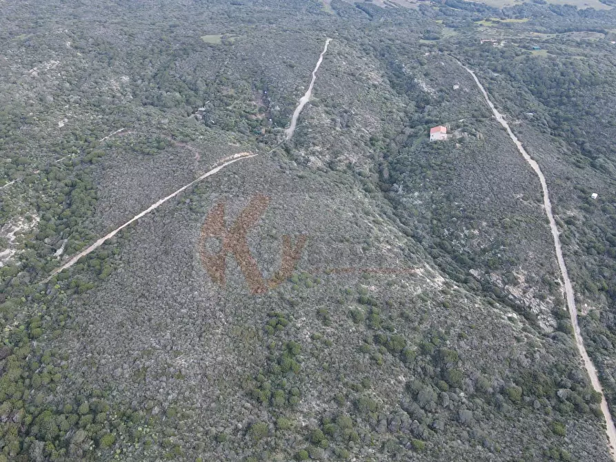 Immagine 12 di Casa indipendente in vendita  in località pedru nieddu a Stintino