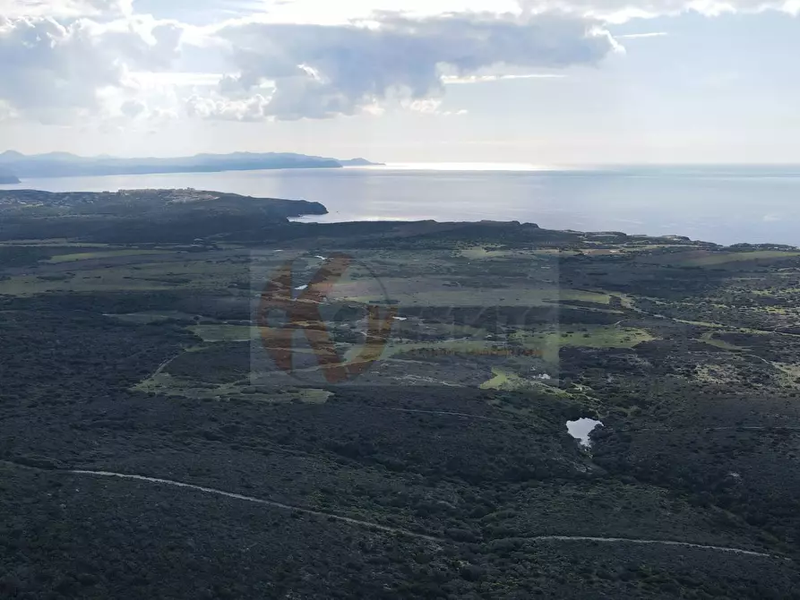 Immagine 13 di Casa indipendente in vendita  in località pedru nieddu a Stintino