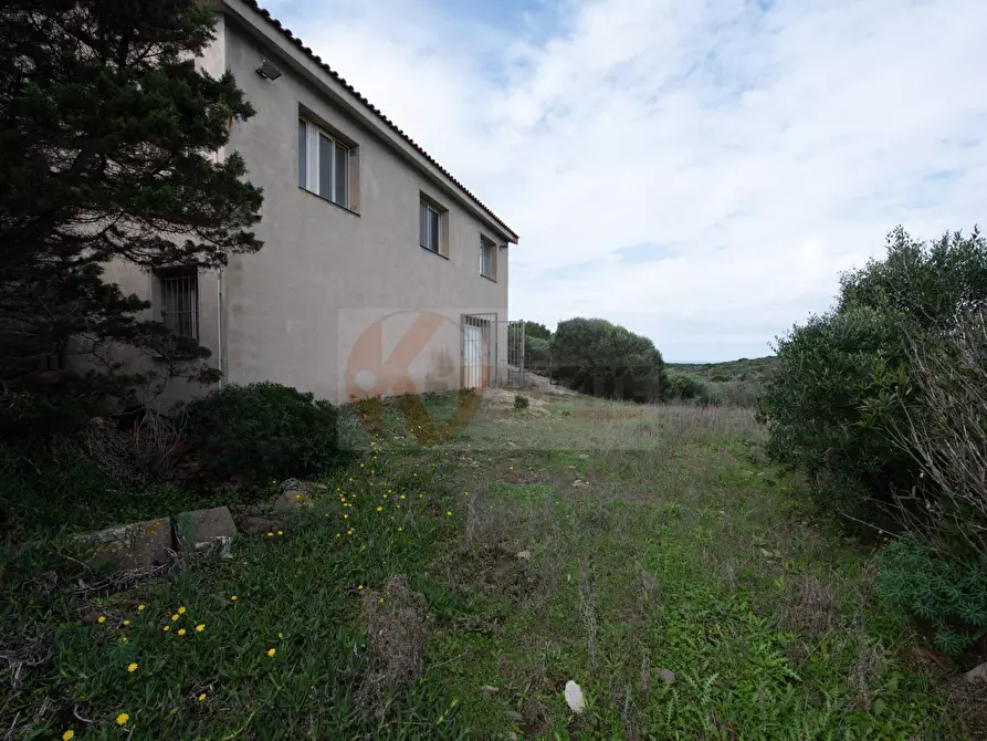 Immagine 18 di Casa indipendente in vendita  in località pedru nieddu a Stintino