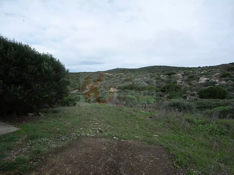 Immagine 21 di Casa indipendente in vendita  in località pedru nieddu a Stintino