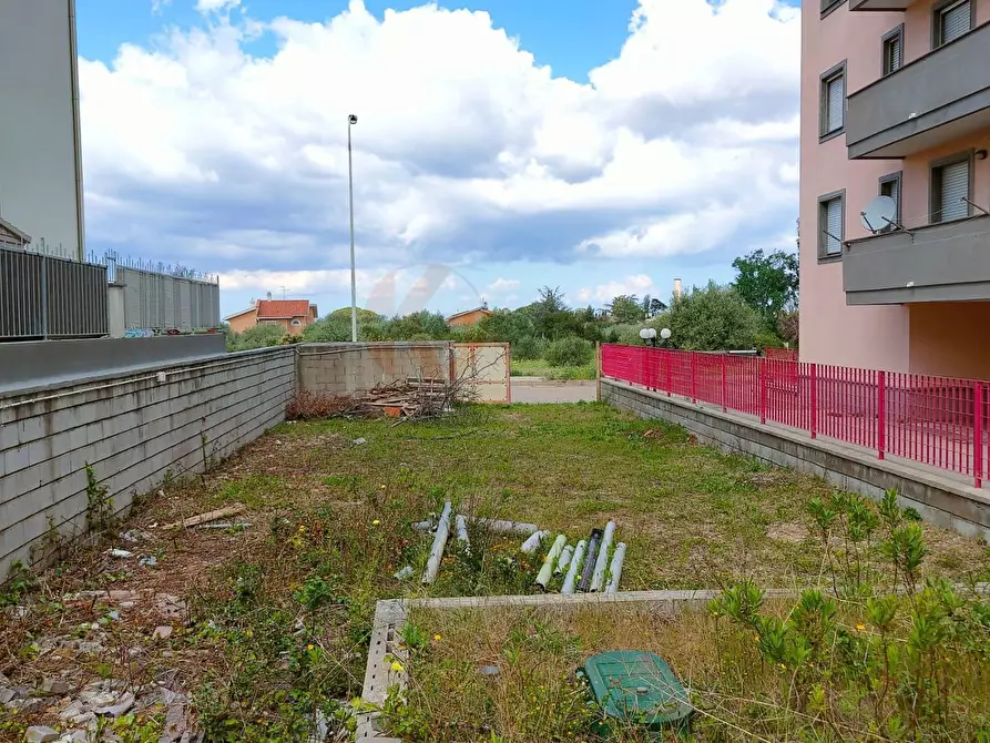 Immagine 6 di Terreno agricolo in vendita  in Pasquale Marginesu a Sassari